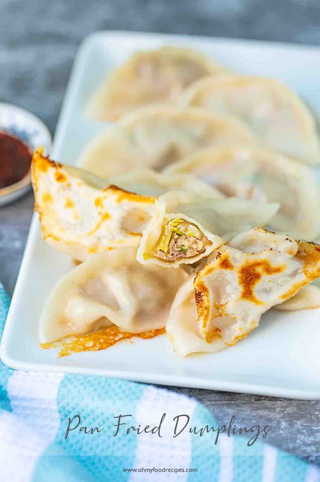 Chinese Pan Fried Dumplings 煎餃子 Oh My Food Recipes