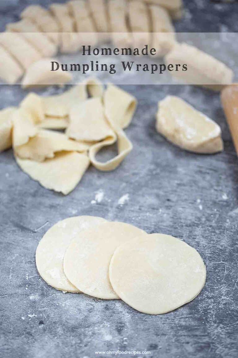 Homemade Dumpling Wrappers (餃子皮) Oh My Food Recipes