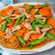 Cantonese Chinese crispy noodles with chicken and vegetables on the plate