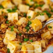 mapo tofu scoop on a sliver spoon