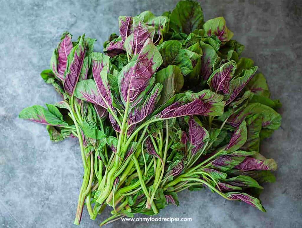 Chinese Spinach Amaranth (Yin Choy Stir Fry) 莧菜 Oh My Food Recipes