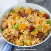 lo mai fan or Chinese sticky rice in the bowl close up
